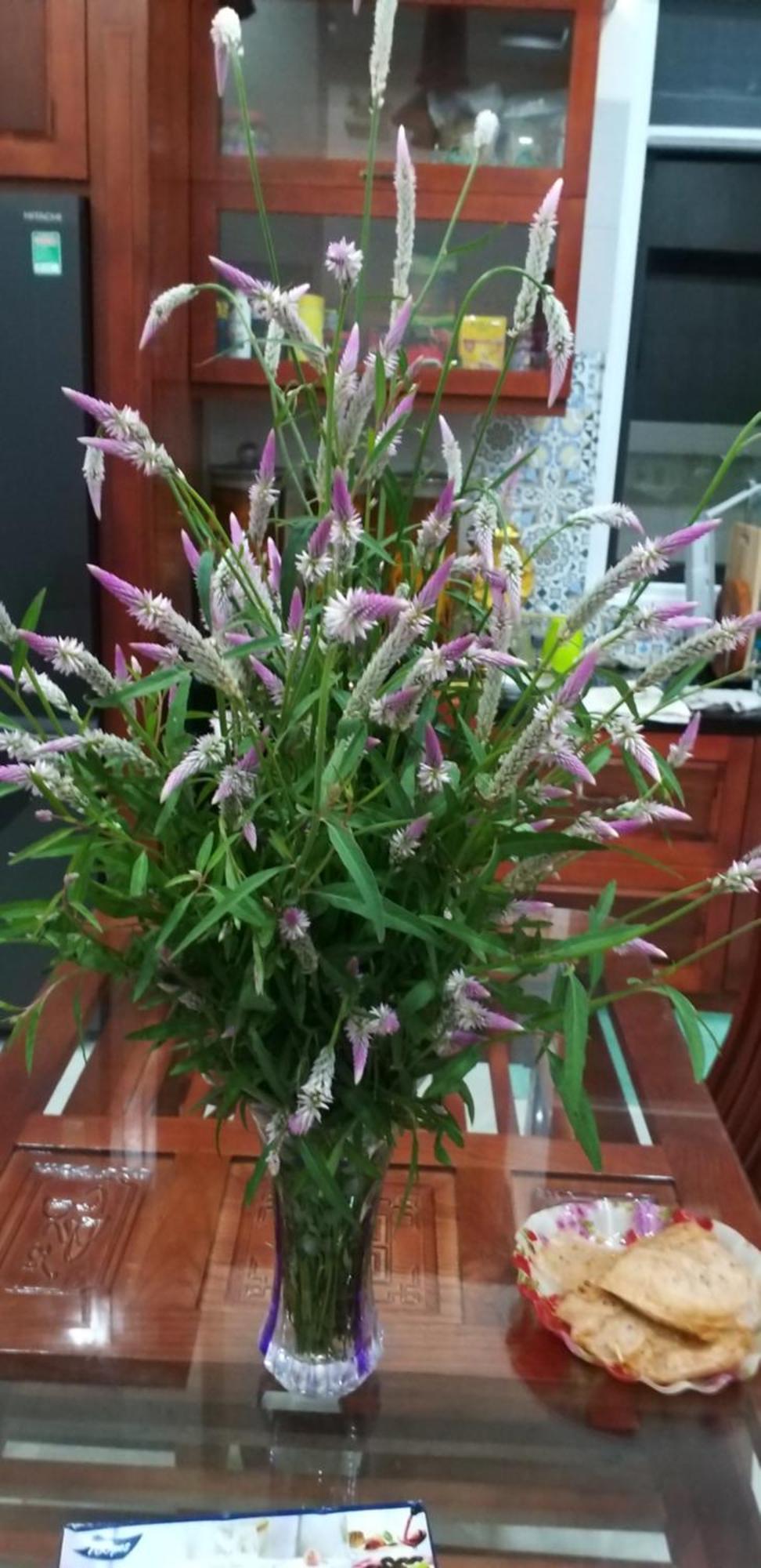 Garden House Con Dao Aparthotel Chi Khu Co Ong ภายนอก รูปภาพ