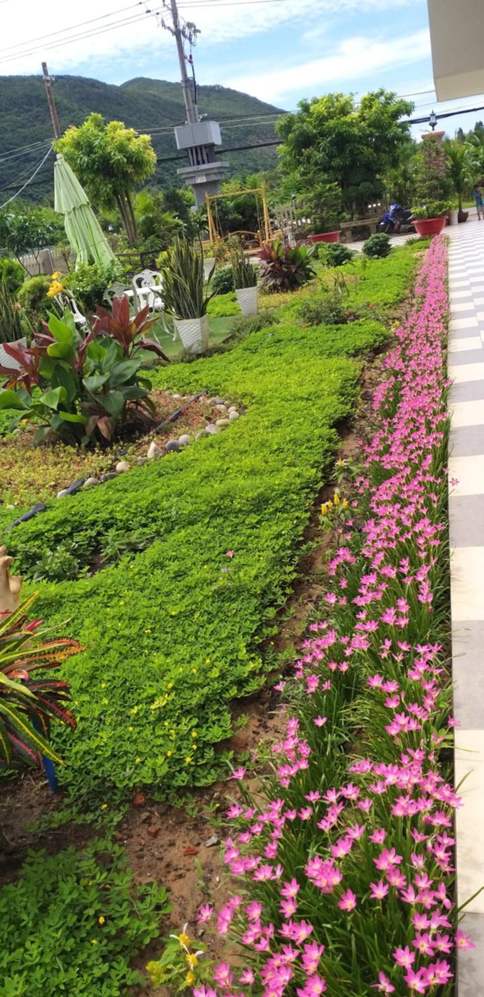 Garden House Con Dao Aparthotel Chi Khu Co Ong ภายนอก รูปภาพ