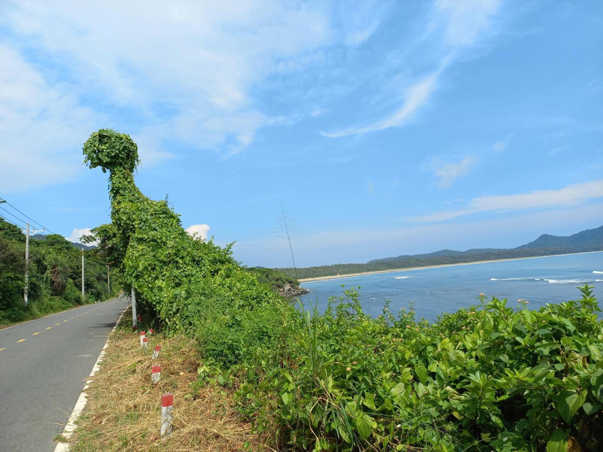 Garden House Con Dao Aparthotel Chi Khu Co Ong ภายนอก รูปภาพ